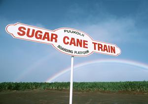 メニューからじっくり考えて車検を受ける