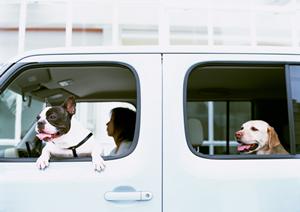 車検のコバックのメリットや魅力