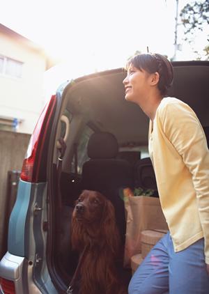 期限までに近くの店舗で車検の手続き